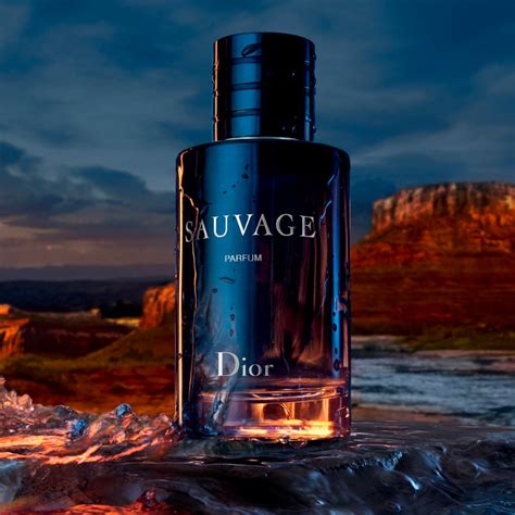 sauvage perfume the bay